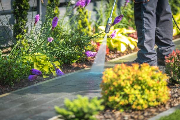 Trusted Taylors Falls, MN Pressure Washing Experts